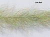 Frenzy Fly Fiber Brush Is A Great Way To Finish Of The Head Of A Fly And To Add Some Flash